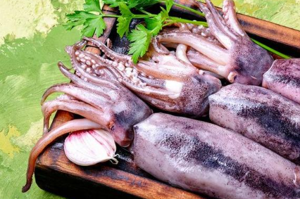 Squid being processed in a freezing machine