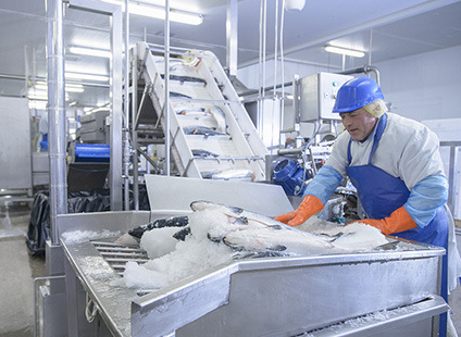 Step-by-step guide to troubleshooting ice flaker issues in commercial refrigeration systems