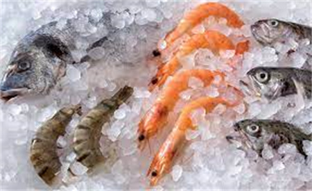 Máquinas de gelo para pesca aprimorando a indústria de frutos do mar