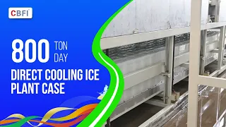 Máquina de Gelo em Blocos de Resfriamento Direto de 800 Toneladas/Dia | CBFI | Planta Industrial de Gelo