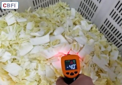 Congelador Rápido de Vegetais: Por que não chega a -30°C?