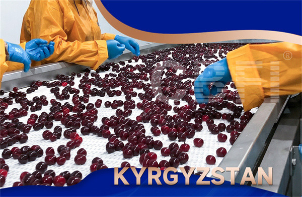 A CBFI participa da Expo de Cadeia de Frio de Xinjiang, explorando novas oportunidades de cadeia de frio sob a Iniciativa Cinturão e Rota